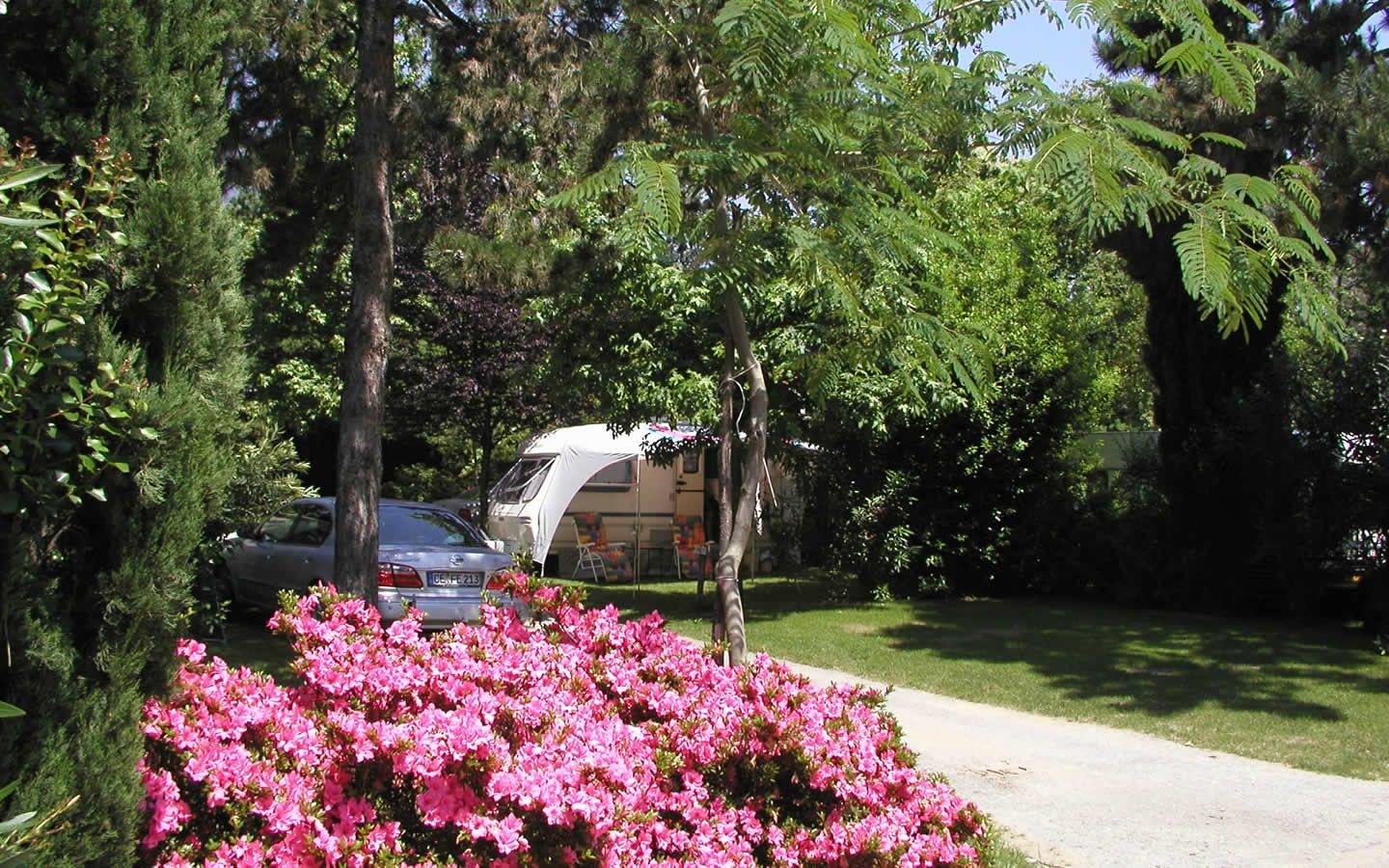 Tipps für einen günstigen Campingurlaub mit der Familie
