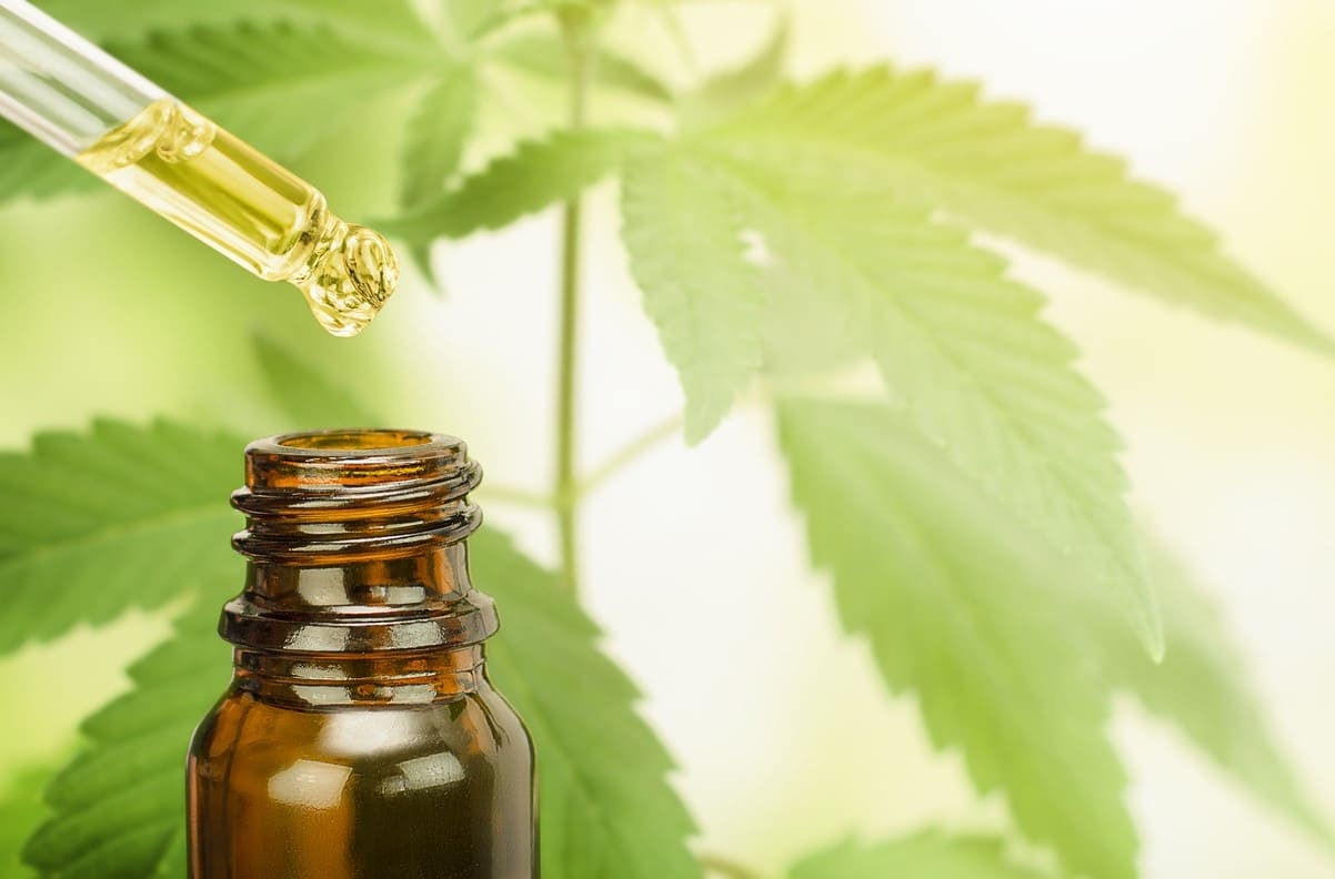 Große Auswahl an Top-Genetiken – Weed Samen kaufen mit Garantie