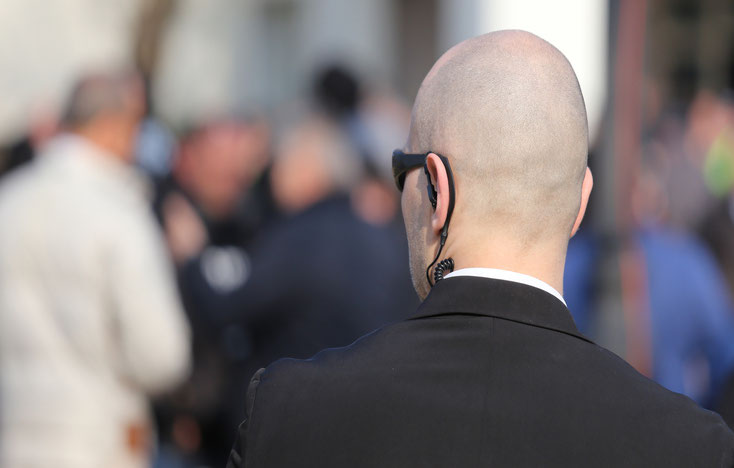 Das Mysterium der Wahrheit: Eine Detektei im Einsatz