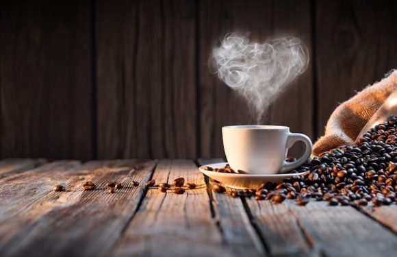 Erkunden Sie die Geschmackswelten von Gute Kaffeebohnen