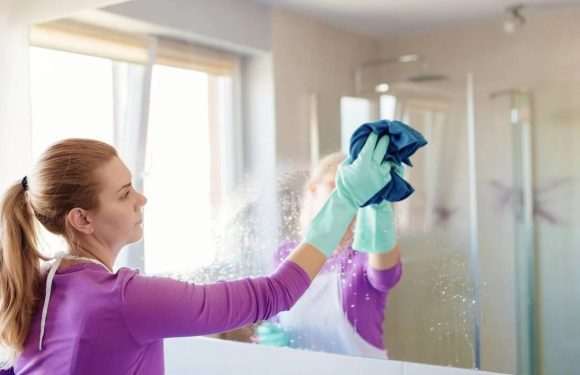 DISE Cleaning Putzfirma – Ihre Reinigungsspezialisten in Dortmund