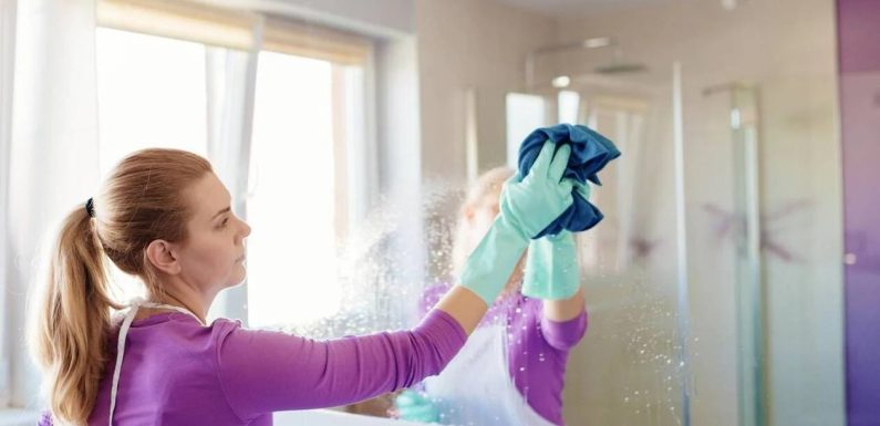 DISE Cleaning Putzfirma – Ihre Reinigungsspezialisten in Dortmund