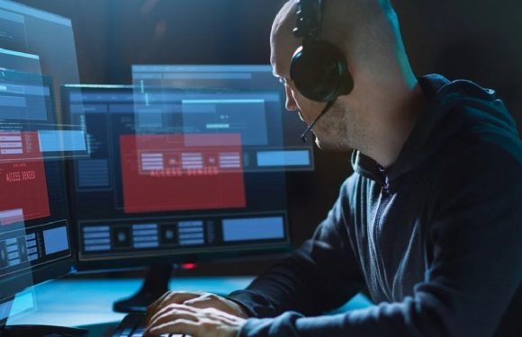 PRIOLAN zeigt: kosten externer datenschutzbeauftragter im Überblick