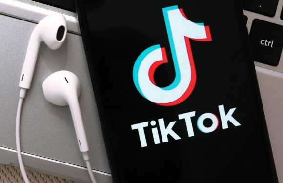 Live TikTok Follower sofort erhalten – EdenBoost macht es möglich