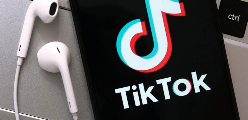 Live TikTok Follower sofort erhalten – EdenBoost macht es möglich